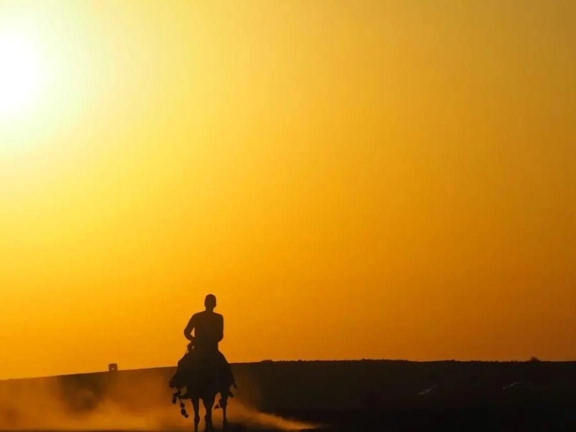فندق Dana Sunset Eco Camp المظهر الخارجي الصورة